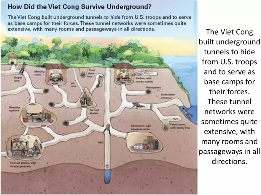 Vietnam War Study Guide (Set 2 of 2) - Page 24