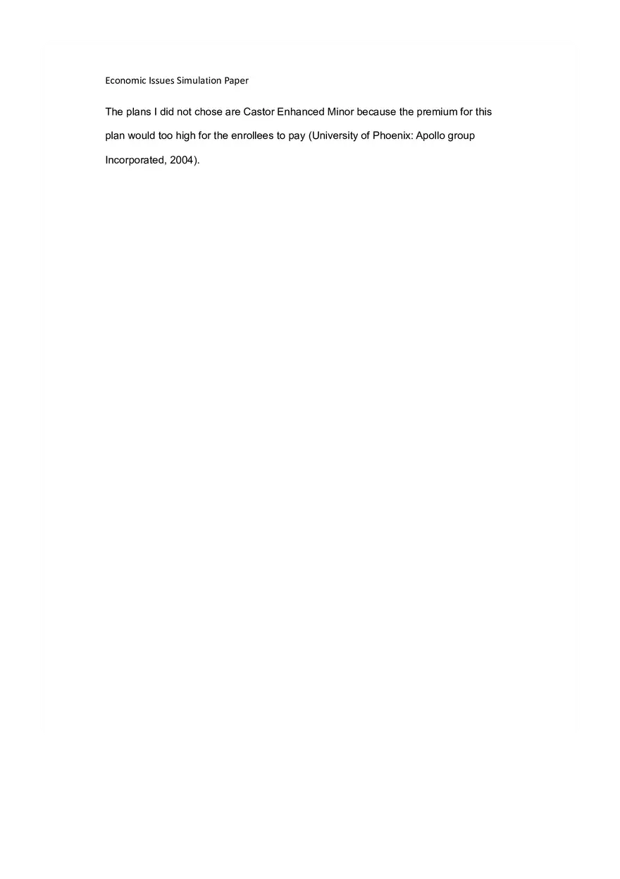 Economic Issues Simulation Paper - Page 3