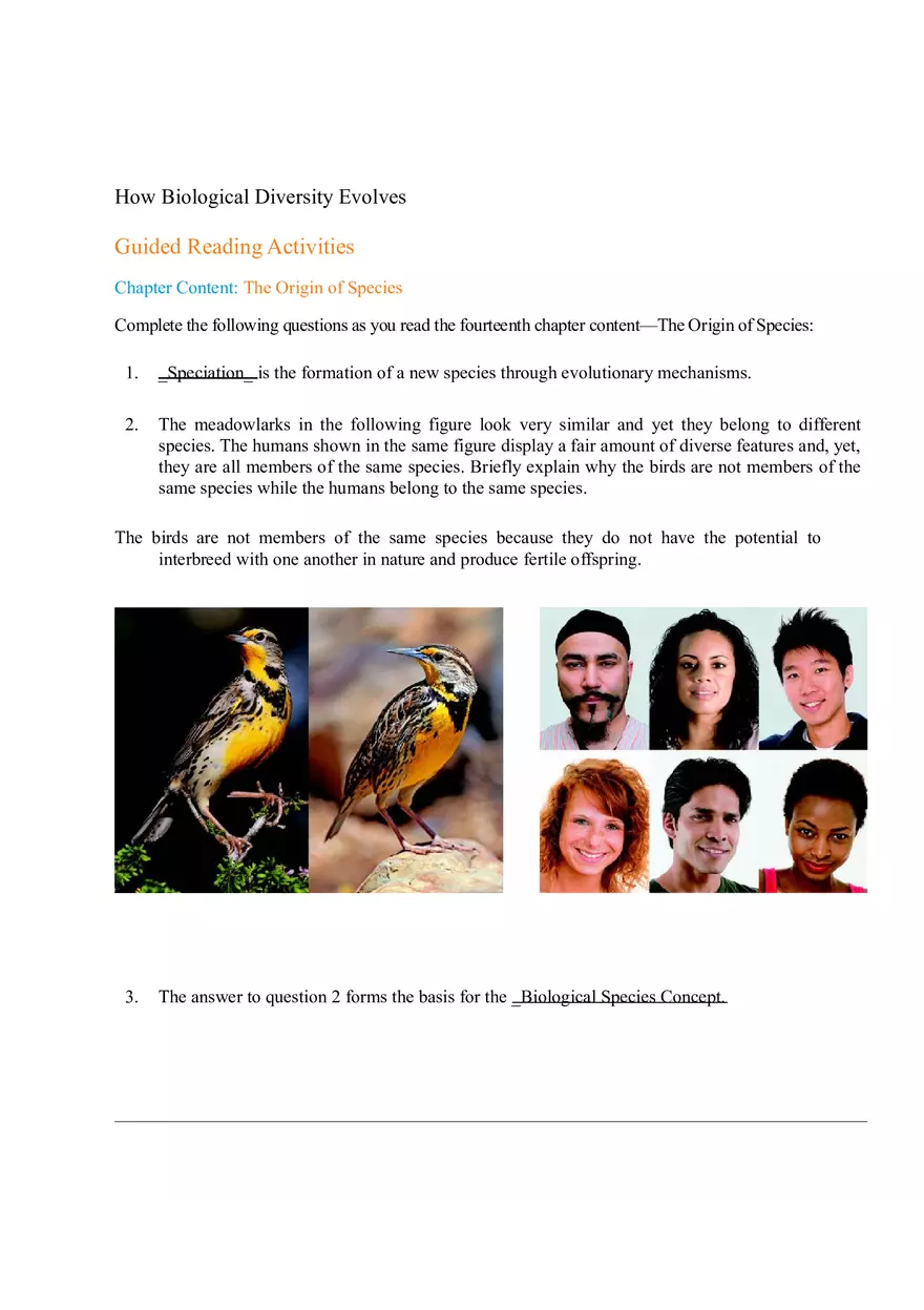 How Biological Diversity Evolves - Page 1