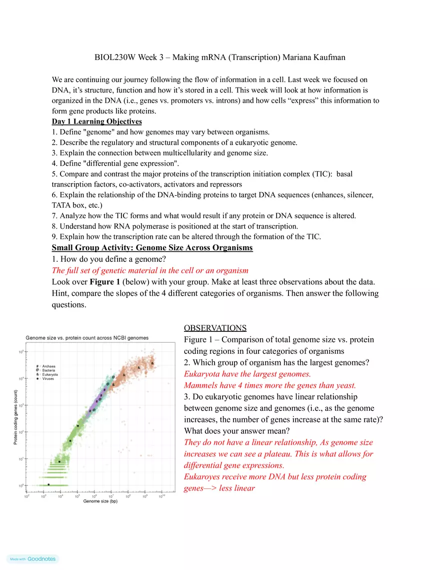Making mRNA (Transcription) - Page 1