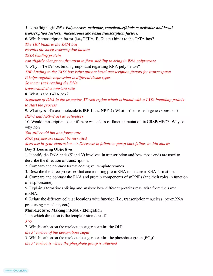 Making mRNA (Transcription) - Page 3