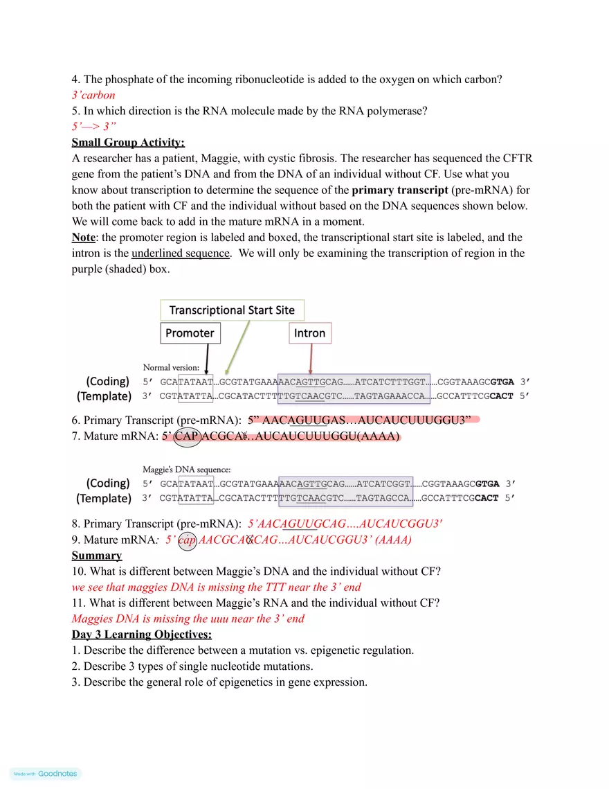 Making mRNA (Transcription) - Page 4