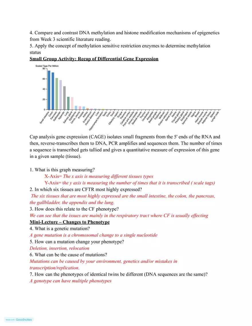 Making mRNA (Transcription) - Page 5