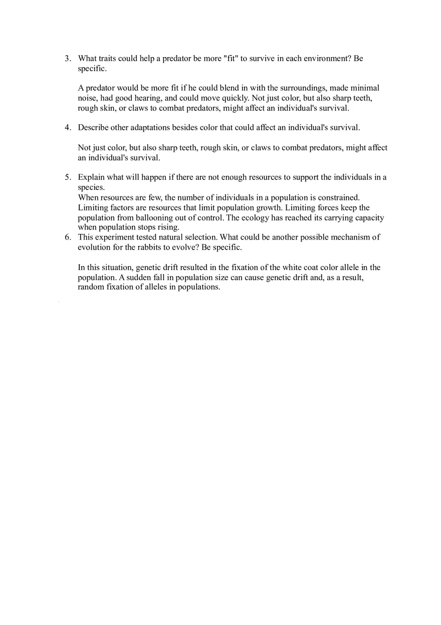 Rabbit Camouflage and Survival Lab - Page 5