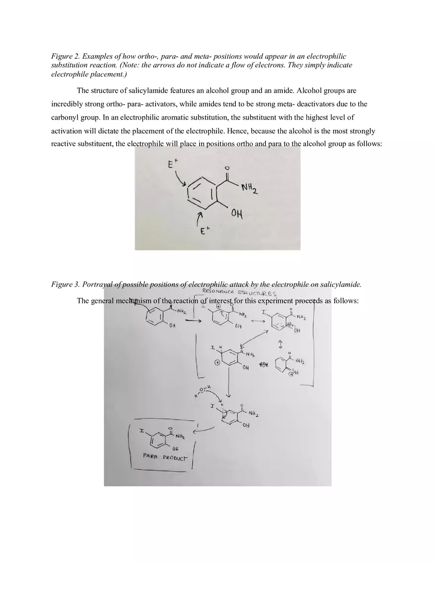 Experiment 6 Iodination of Salicylamide - Page 3