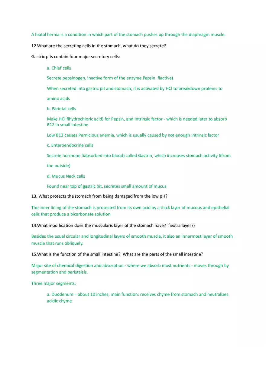 Digestive System Study Guide (Answers) - Page 3