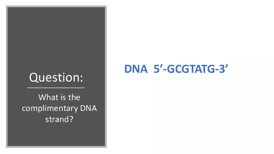 DNA Replication 2021 Notes - Page 25