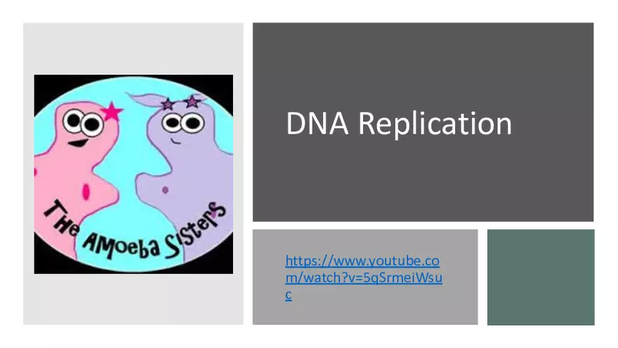 DNA Replication 2021 Notes - Page 3