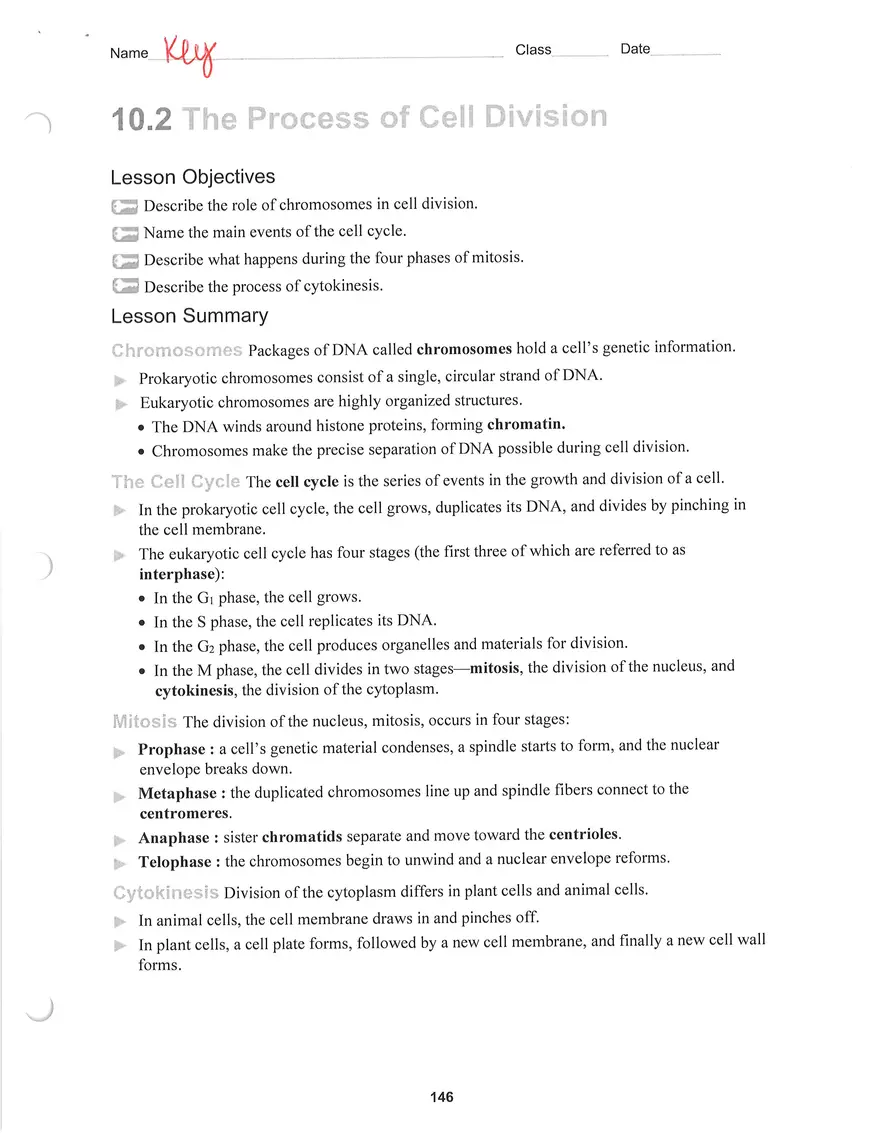 The Process of Cell Division Key - Page 1