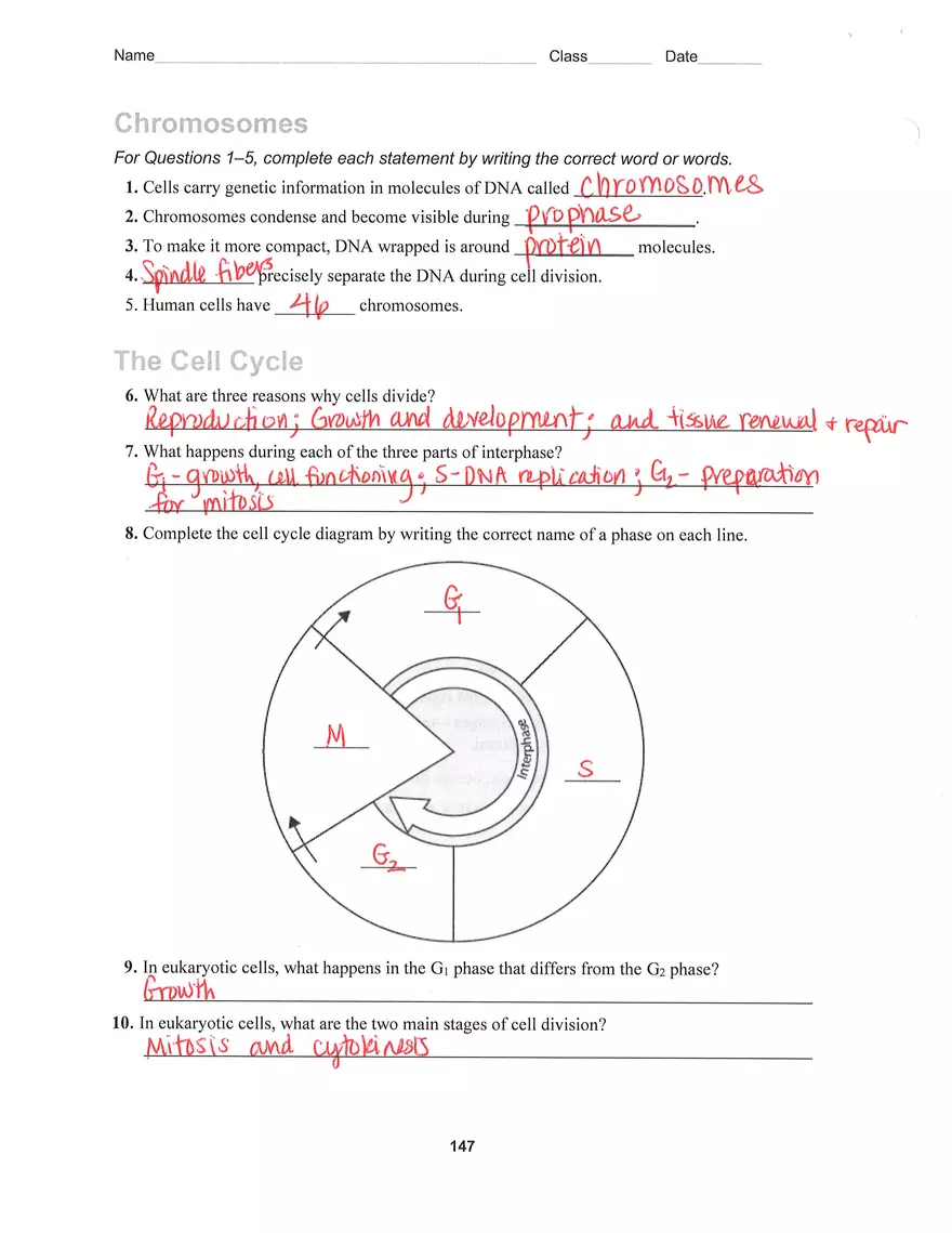 The Process of Cell Division Key - Page 2