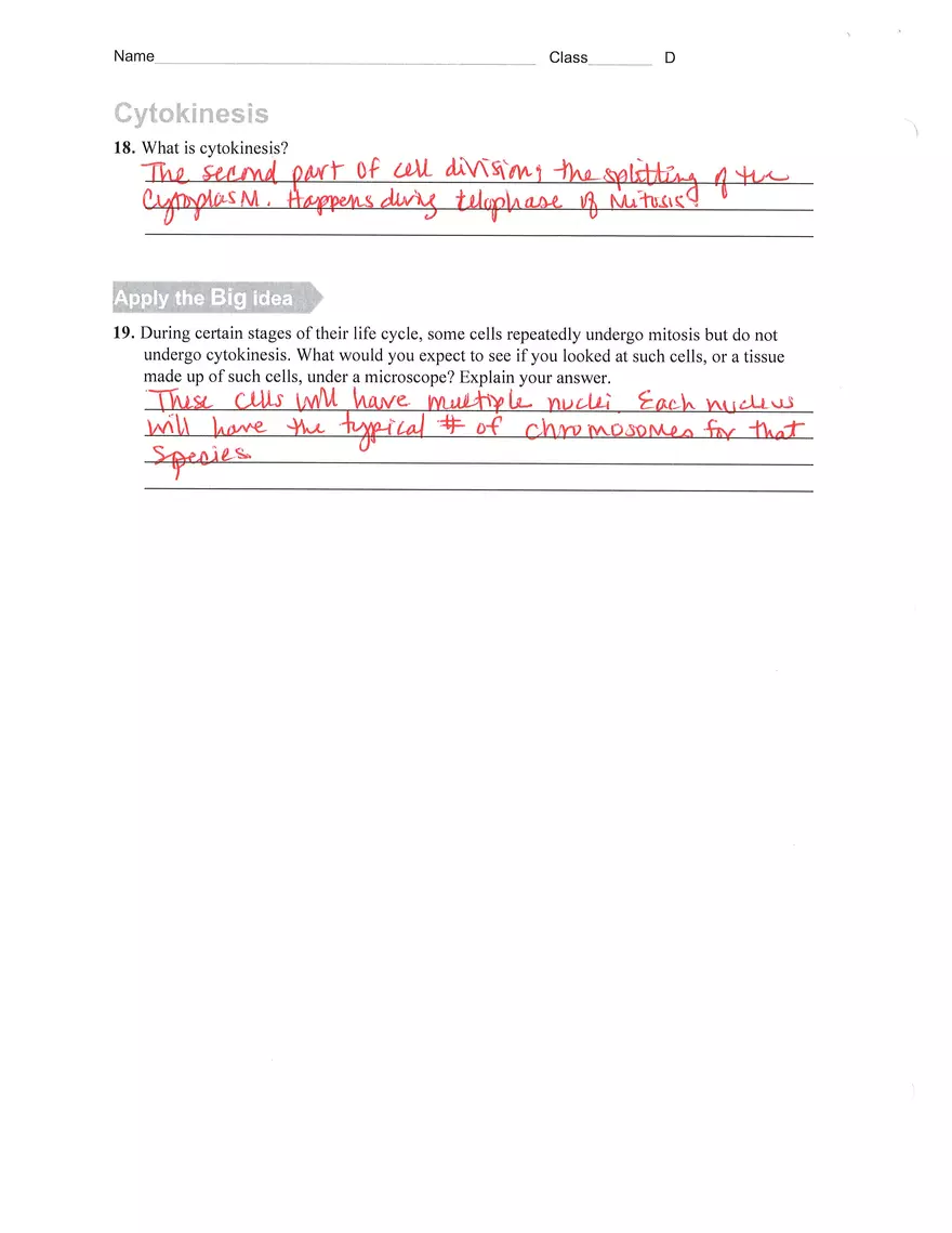 The Process of Cell Division Key - Page 4
