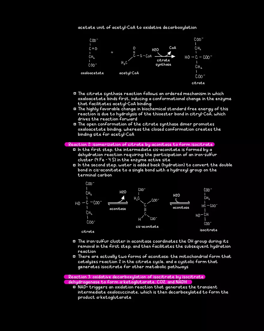 Chapter 10: The Citrate Cycle - Page 7