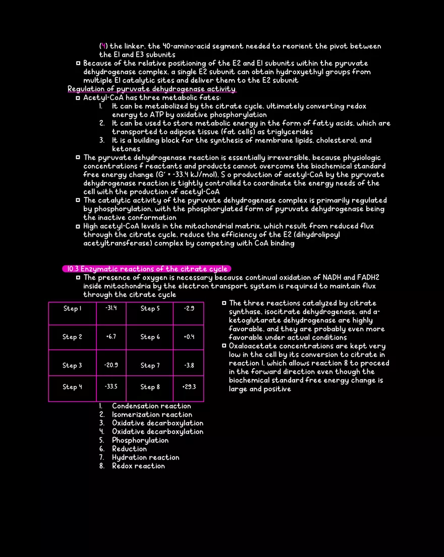 Chapter 10: The Citrate Cycle - Page 5