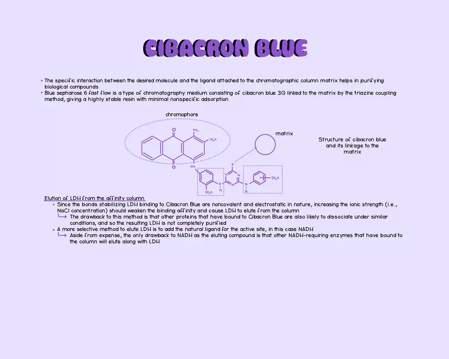Cibacron Blue - Page 1