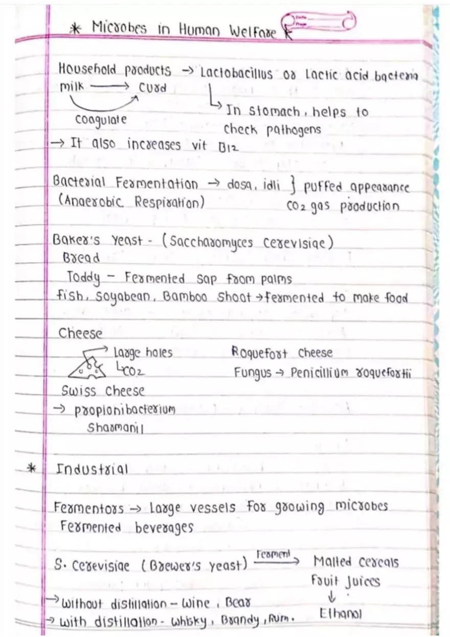 Microbes in Human Welfare - Page 1