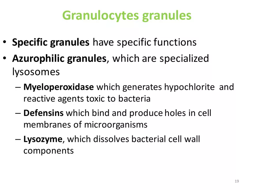Blood Cells Notes - Page 11