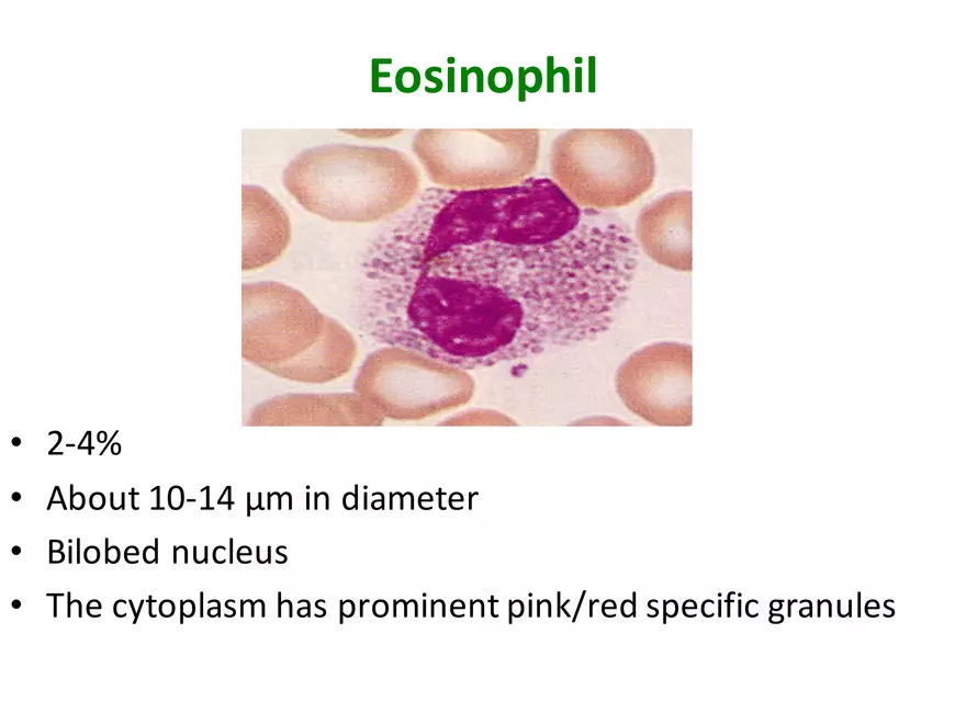 Blood Cells Notes - Page 18