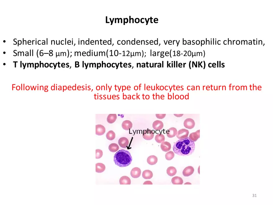 Blood Cells Notes - Page 25