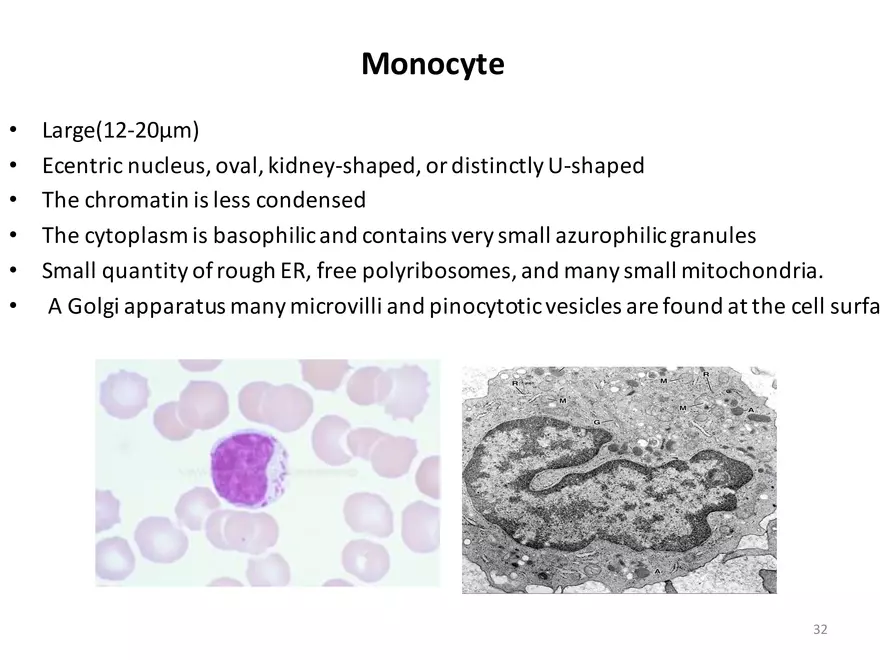 Blood Cells Notes - Page 26