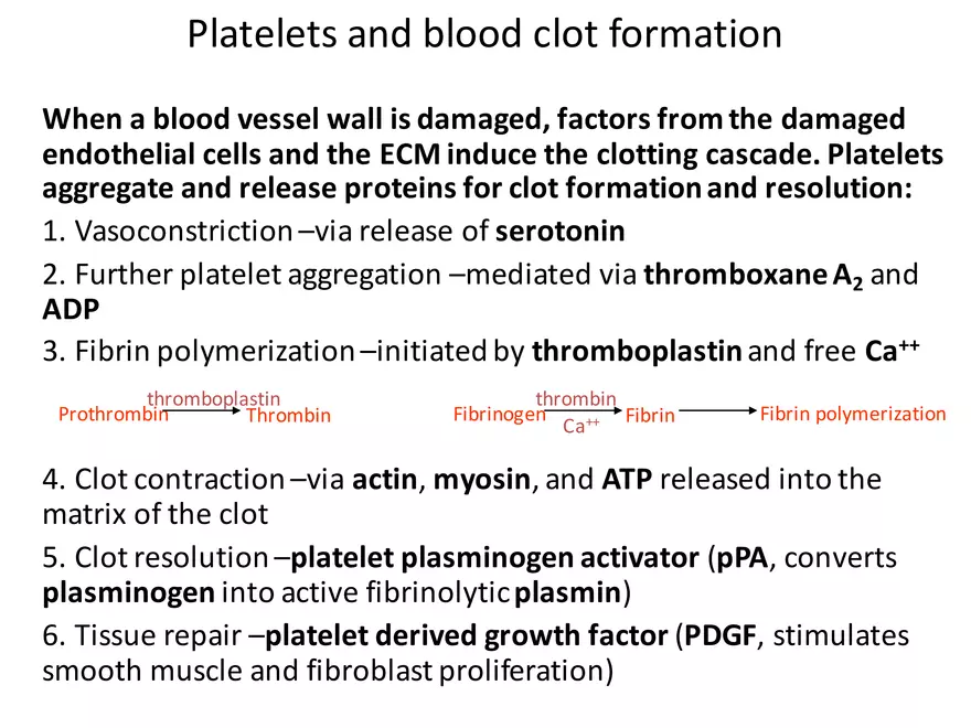 Blood Cells Notes - Page 32