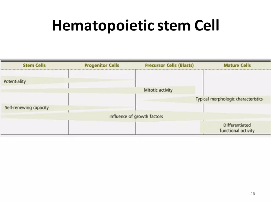 Blood Cells Notes - Page 41
