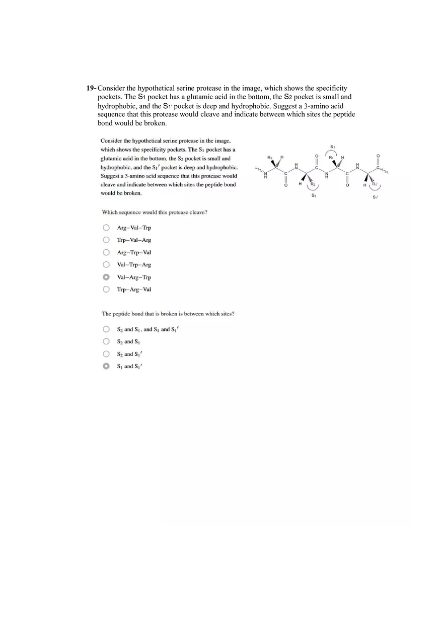 Cheat Sheet - Final Biochem Part VI - Page 4