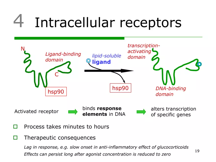 Lecture 2: Receptor Mechanisms - Page 11