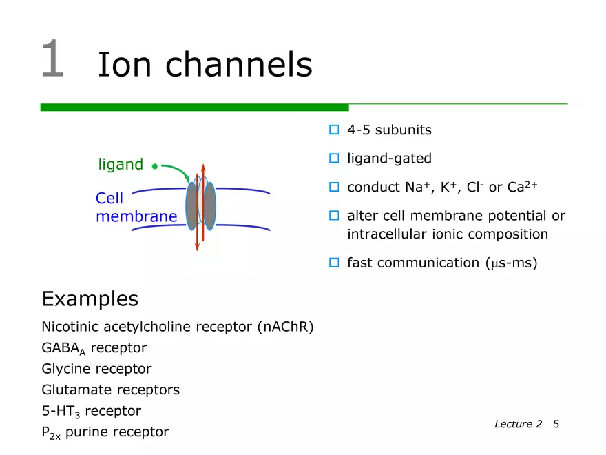 Lecture 2: Receptor Mechanisms - Page 18