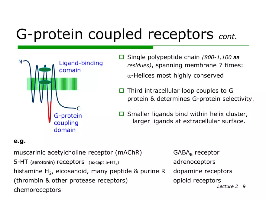 Lecture 2: Receptor Mechanisms - Page 22