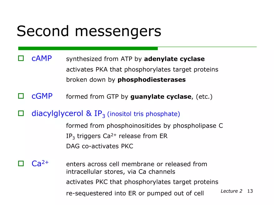 Lecture 2: Receptor Mechanisms - Page 5