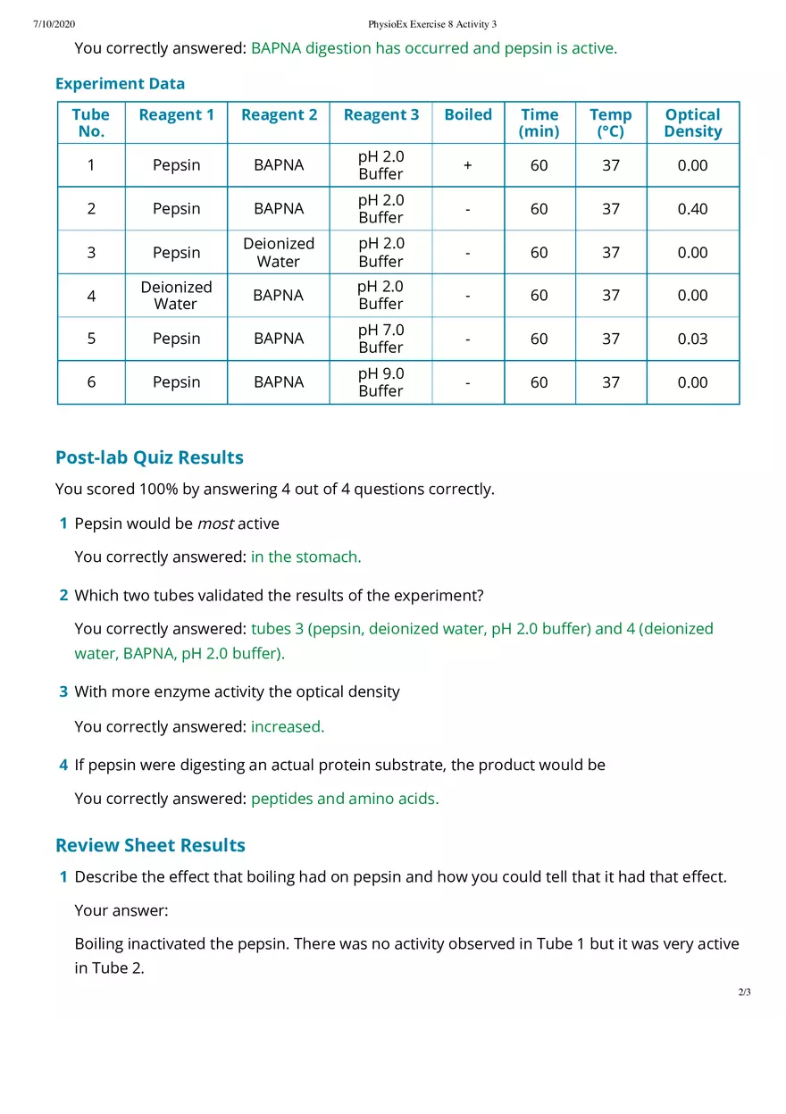 Assessing Pepsin Digestion of Protein - Page 2