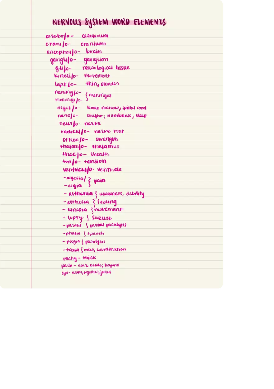 Nervous System Words Elements - Page 1