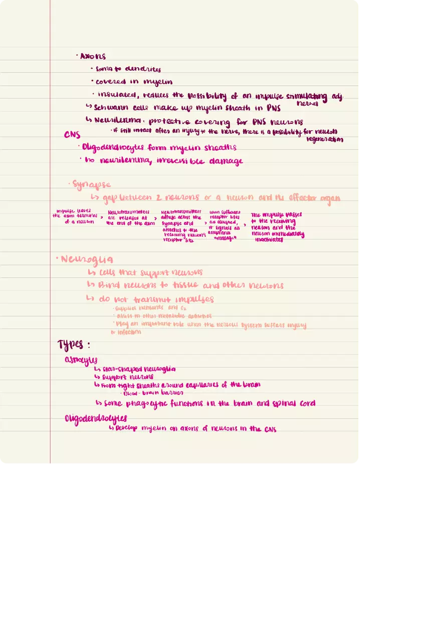 Nervous System Words Elements - Page 3
