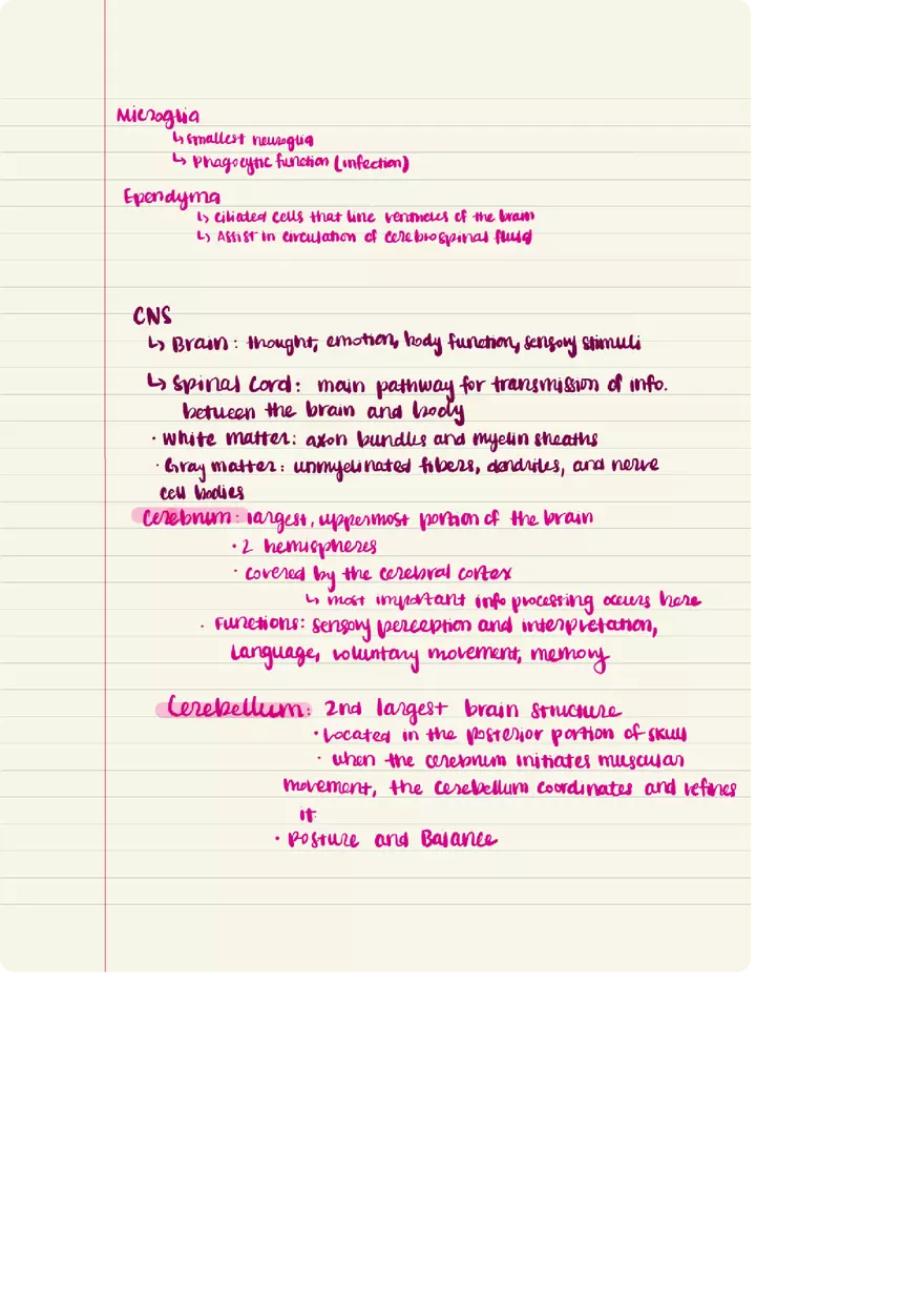 Nervous System Words Elements - Page 4