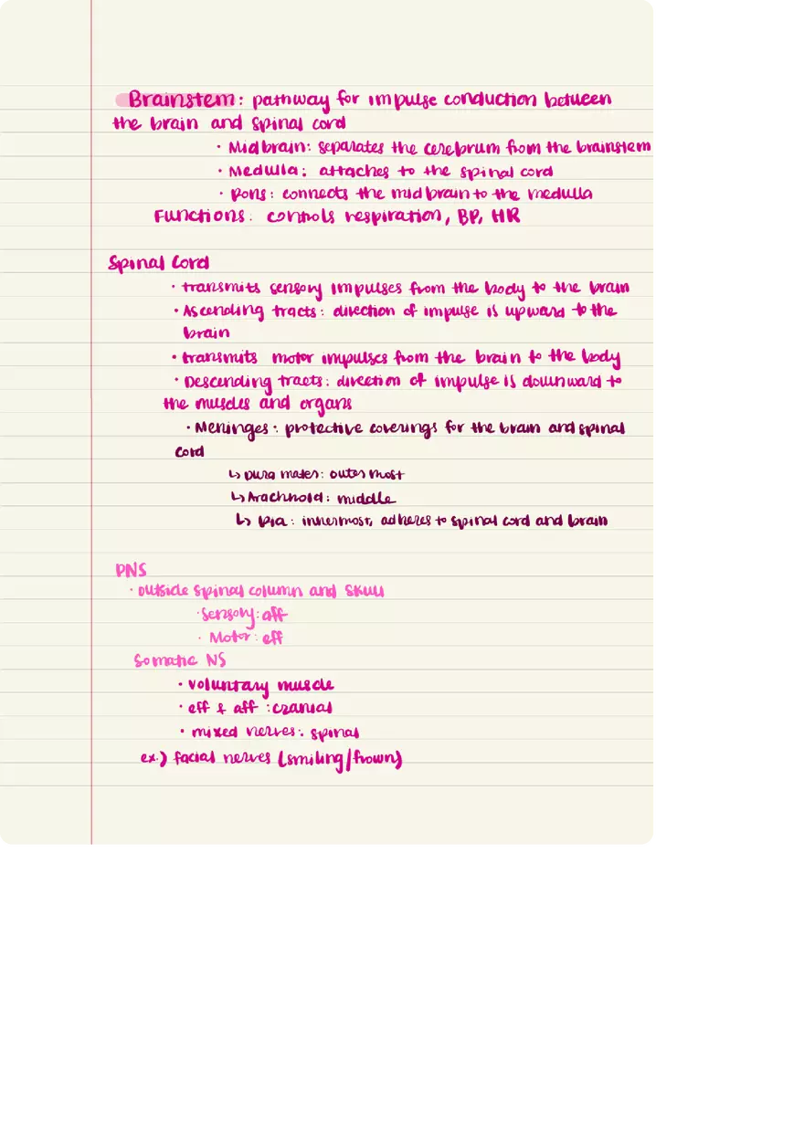 Nervous System Words Elements - Page 5