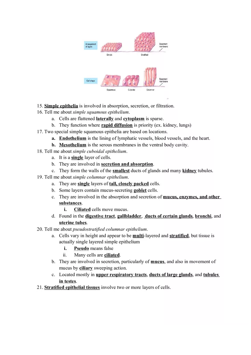 Biology Chapters 4 and 5 Study Guide - Page 3