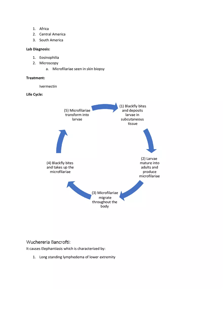 Tissue Nematodes - Page 2