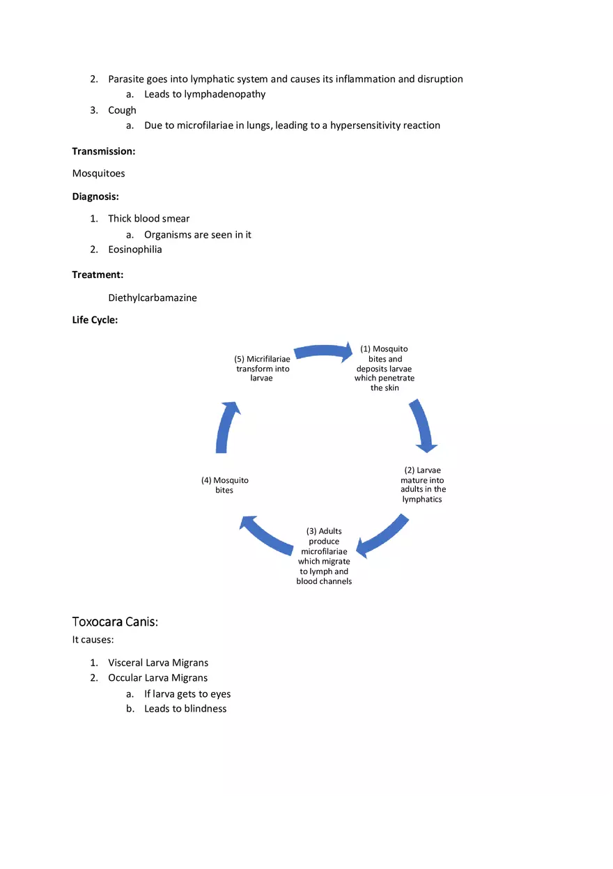 Tissue Nematodes - Page 3