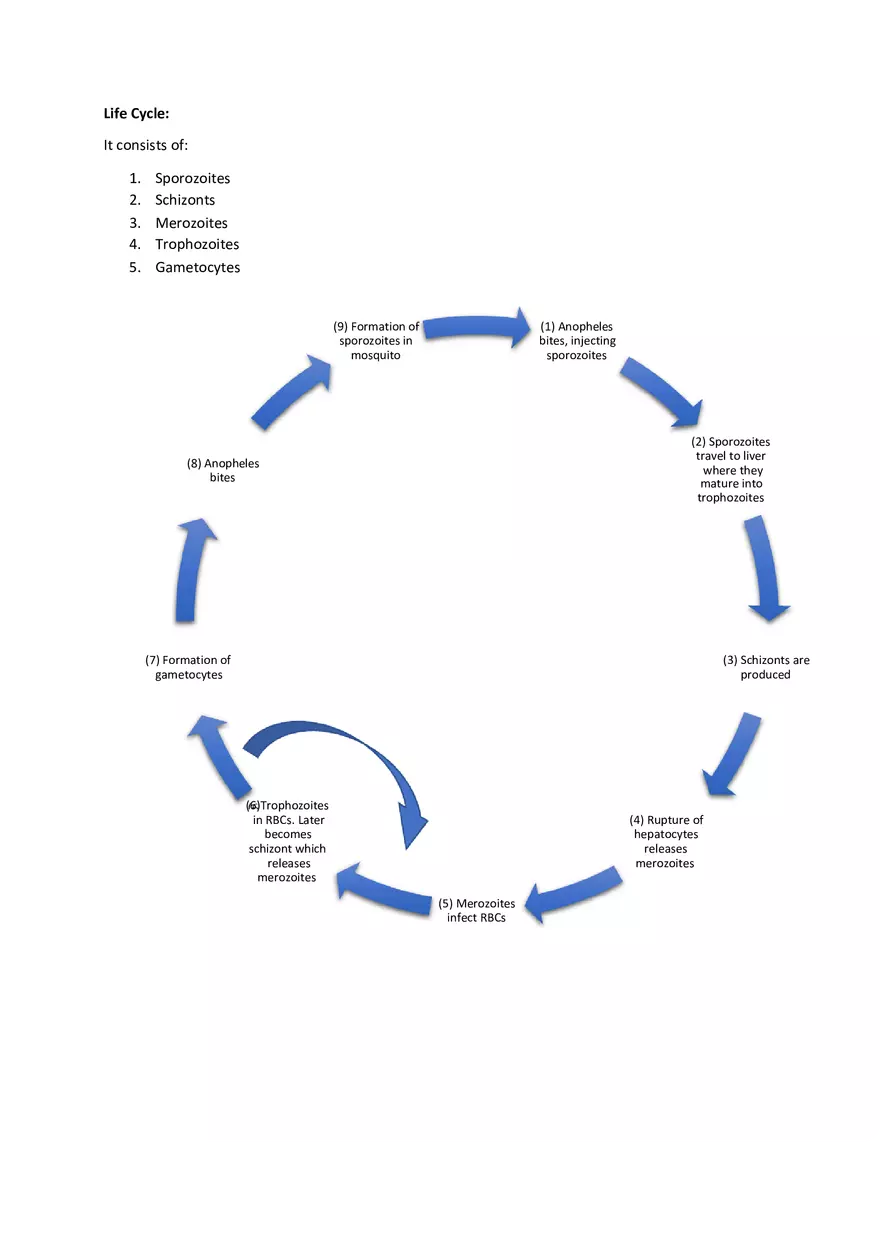 Plasmodium Species - Page 3