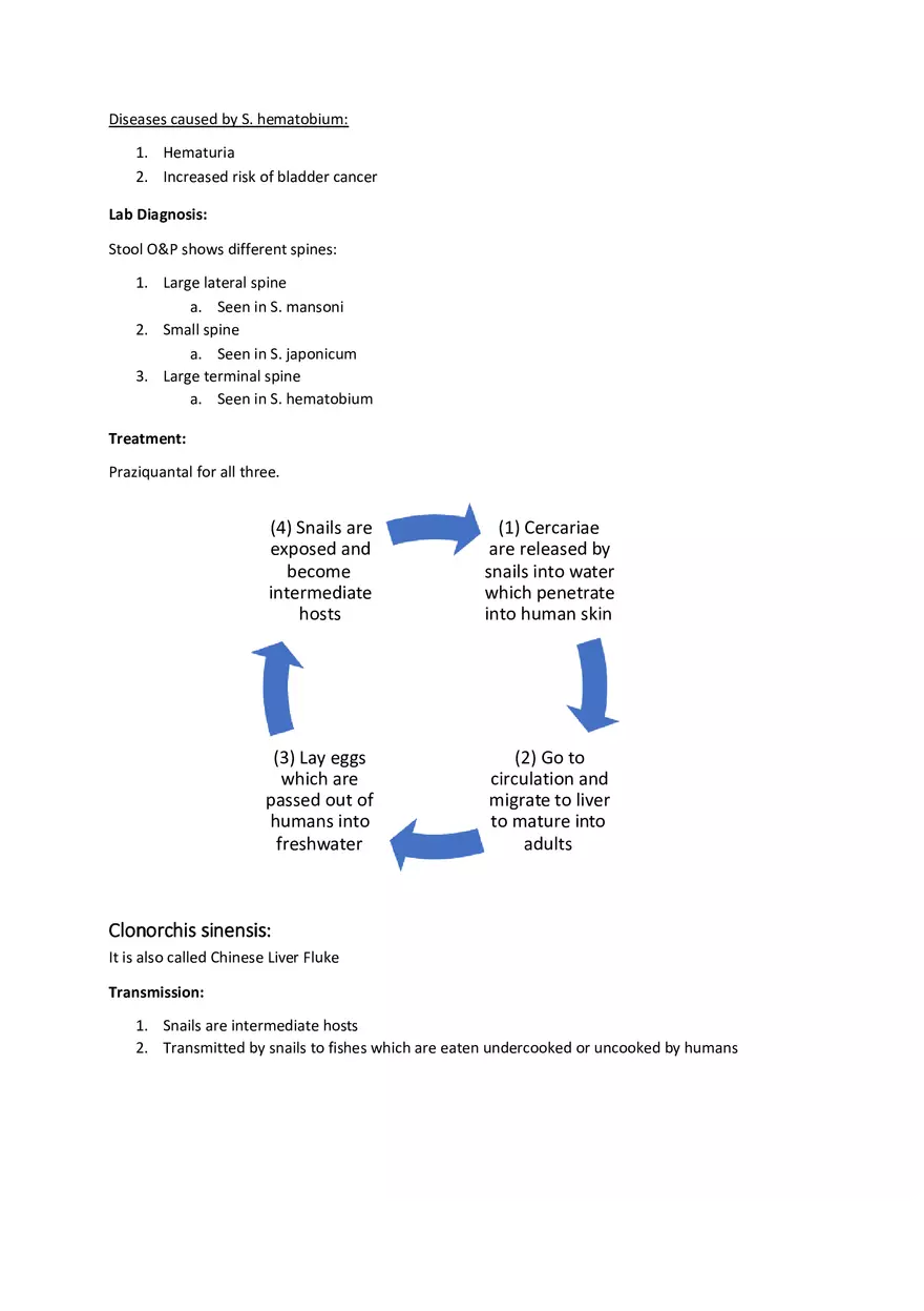 Trematodes - Page 2