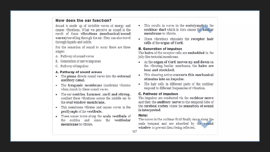 Receptors (The Ear) - Slides - Page 7