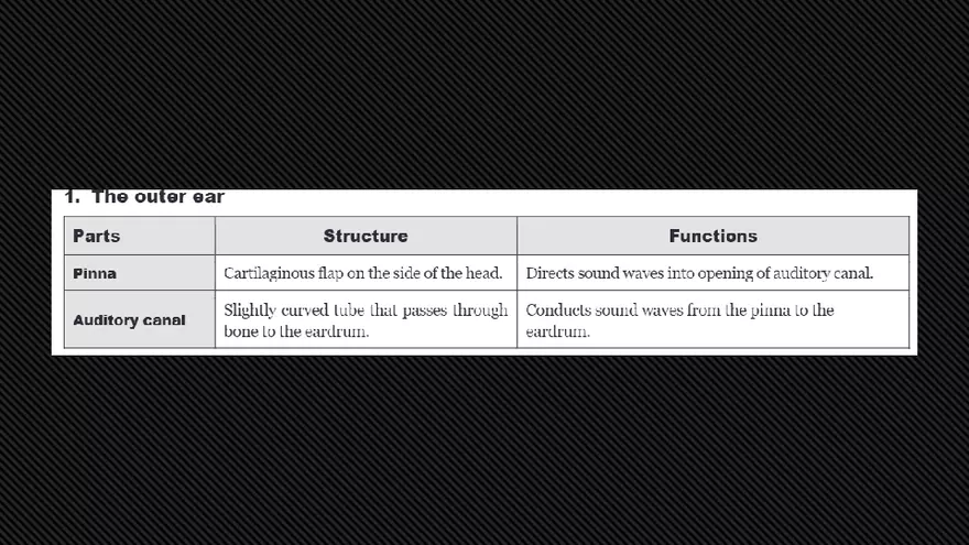 Receptors (The Ear) - Slides - Page 22