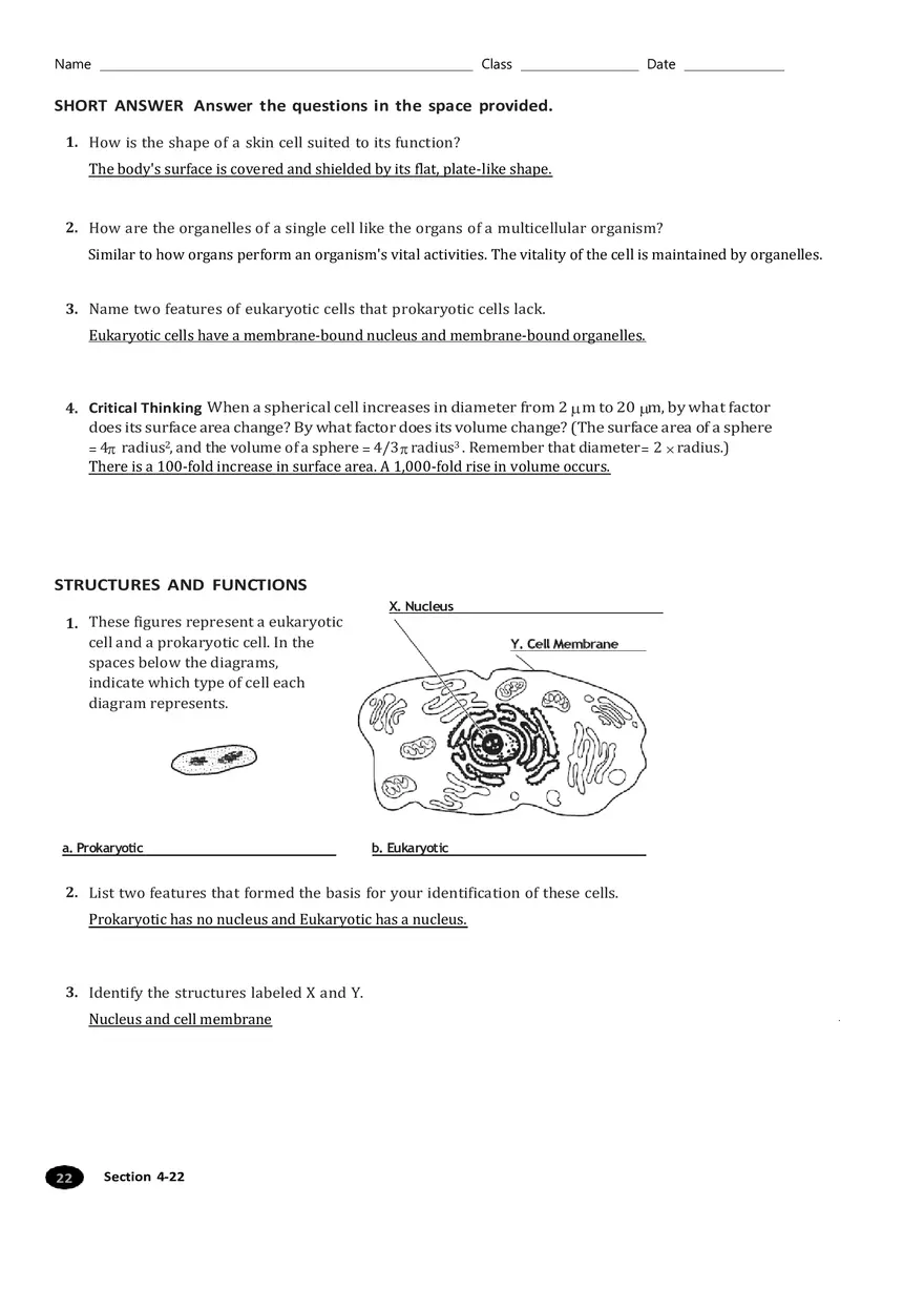 Introduction to Cells Section 4-2 - Page 2