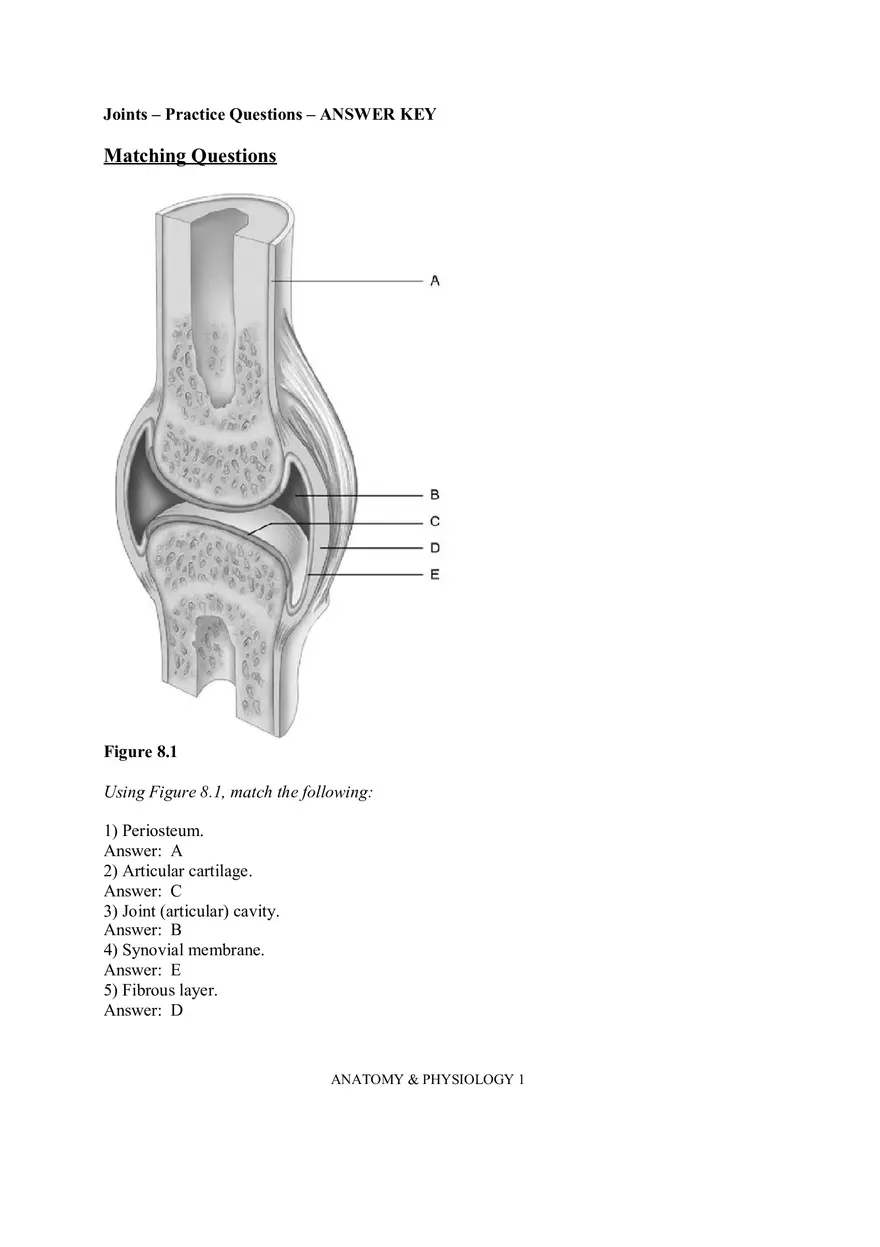 Joints – Practice Questions - Page 1
