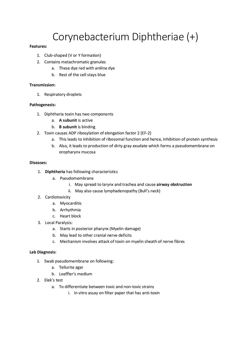 Corynebacterium Diphtheriae (+) - Page 1