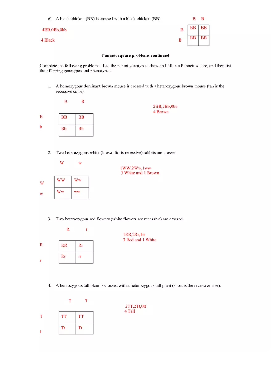 Punnett Square Worksheet - Page 2