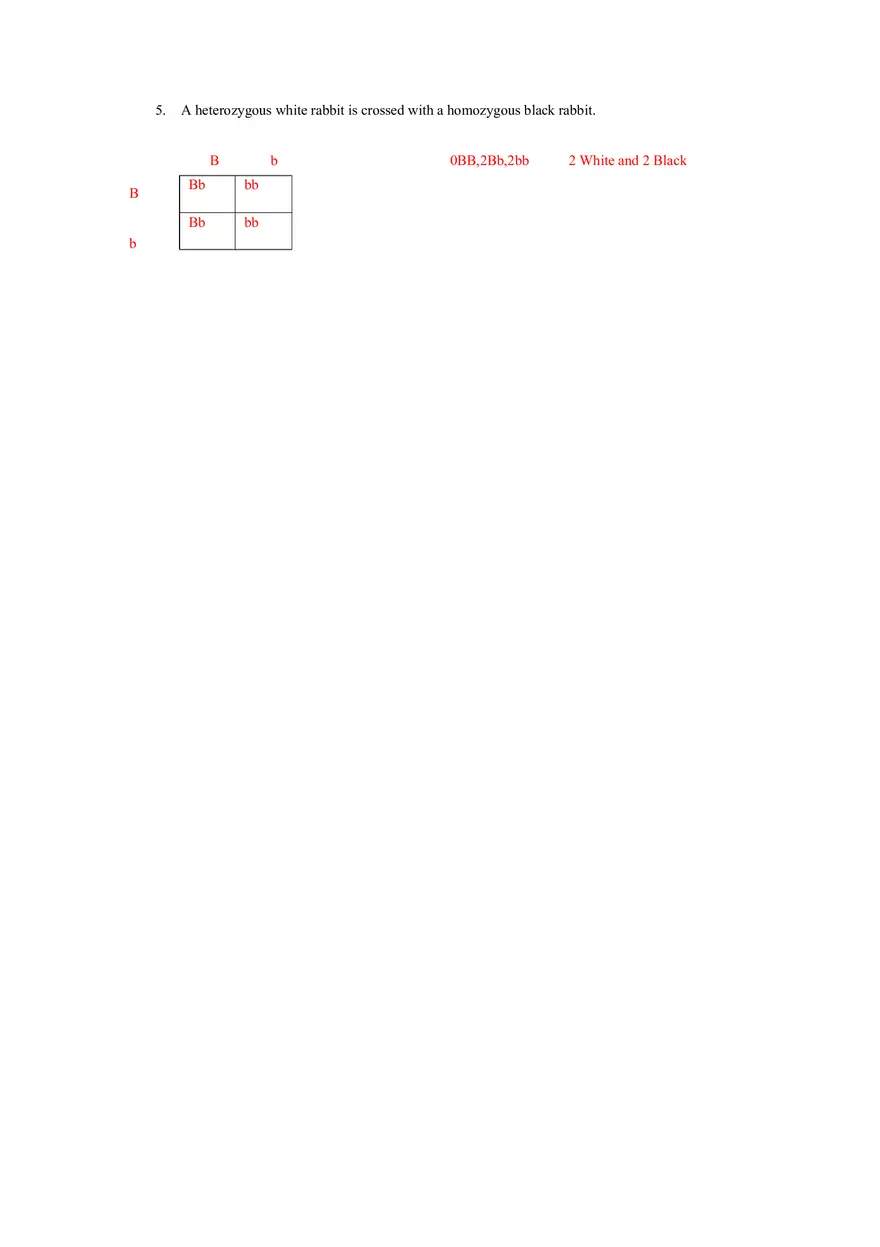 Punnett Square Worksheet - Page 3