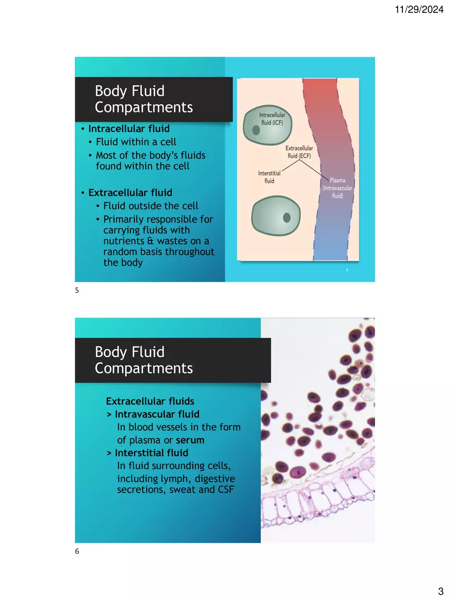 Chapter 6 - Fluid and Electrolytes - Page 13