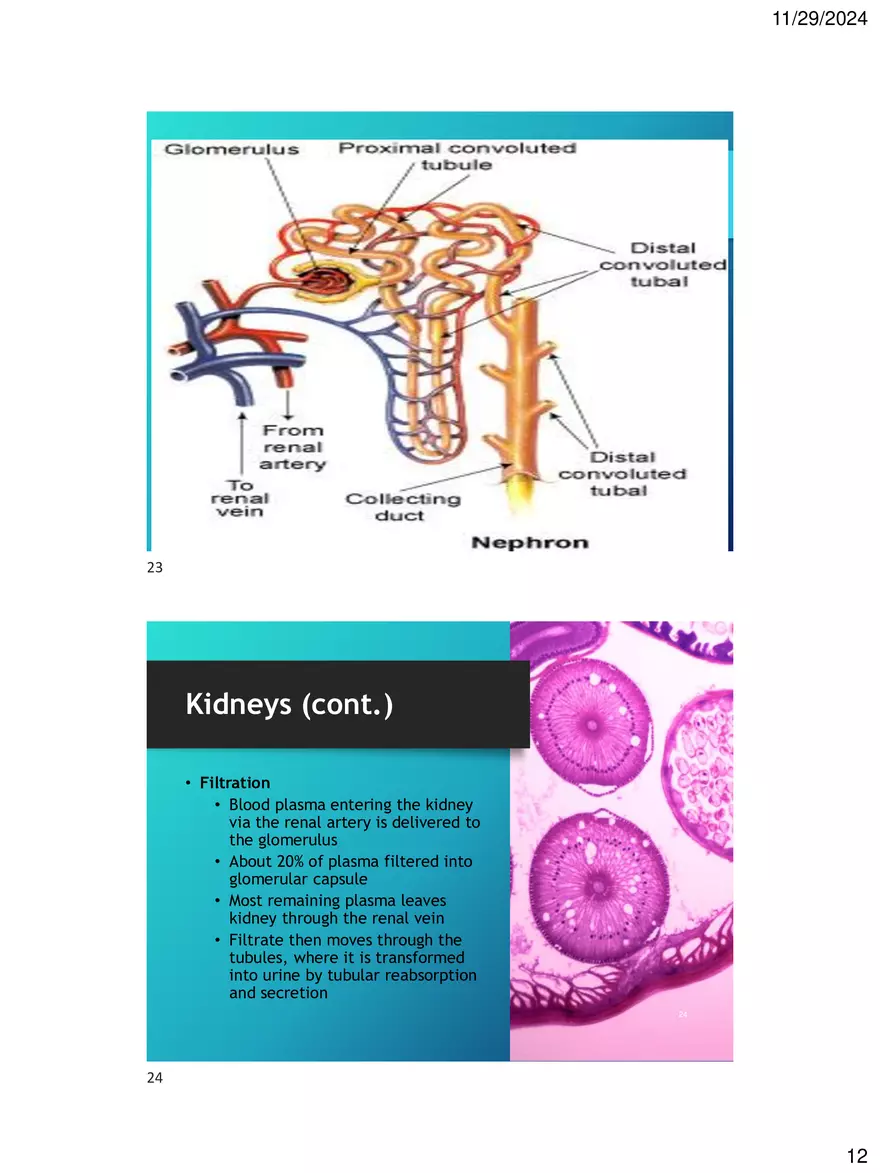 Chapter 6 - Fluid and Electrolytes - Page 4