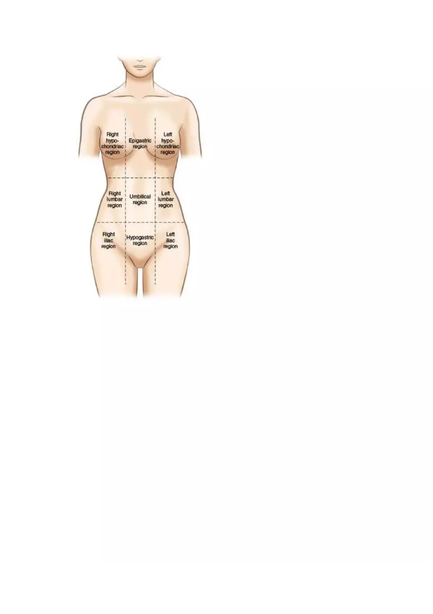 Chapter 2 - The Human Body in Health and Disease - Page 11